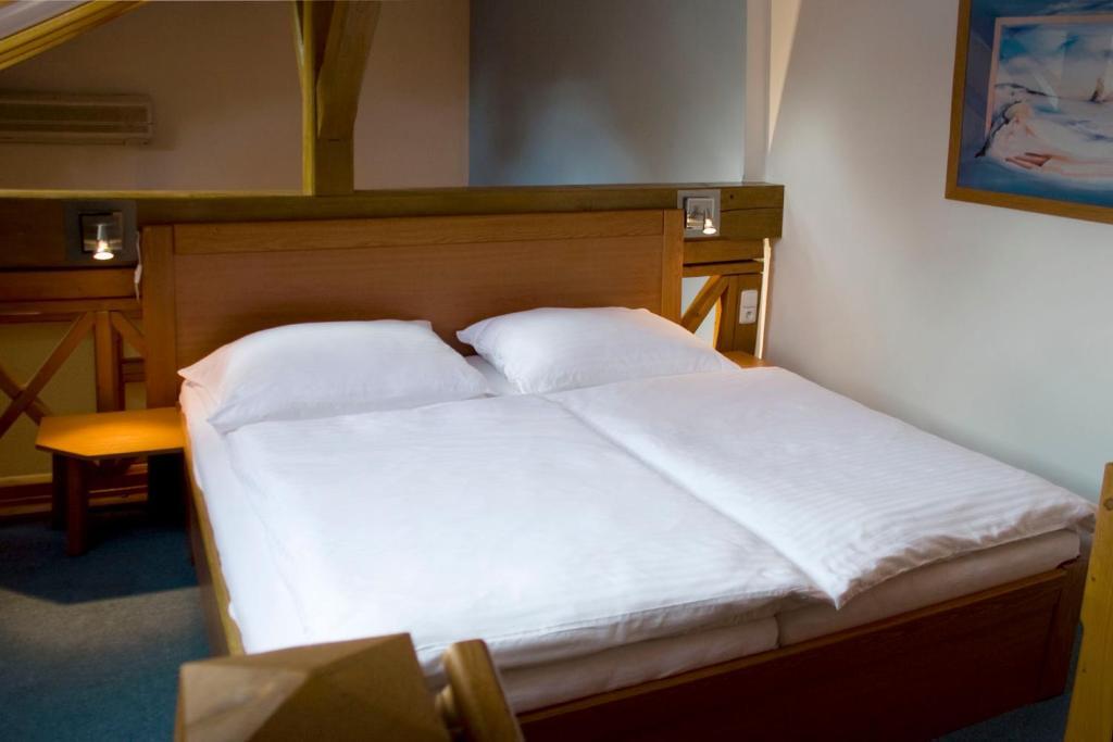 Hotel Zamecek Pod Hradem Stary Jicin 111 部屋 写真